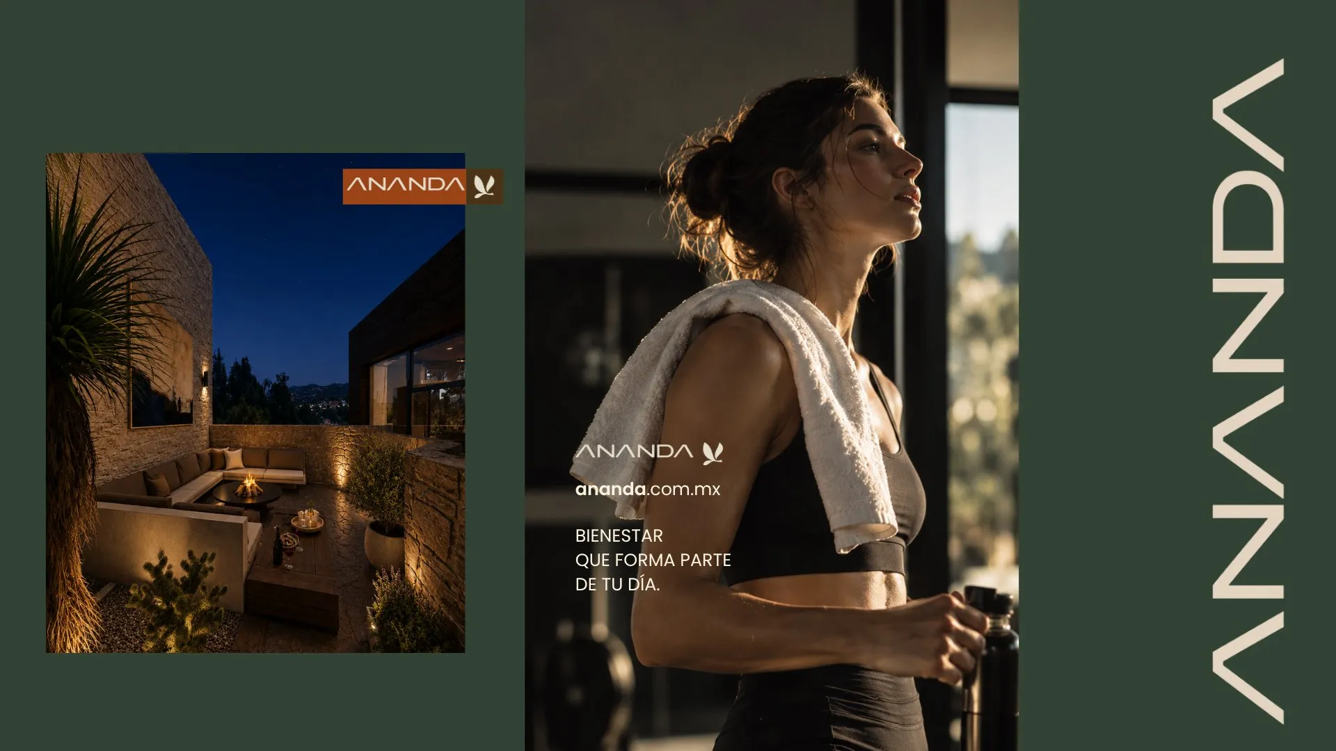 Rebranding para Ananda desarrollado por Bold & Co.