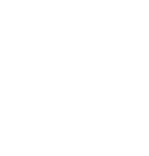 Bold & Co.