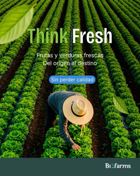 Pieza de contenido para redes sociales creada por Bold & Co.