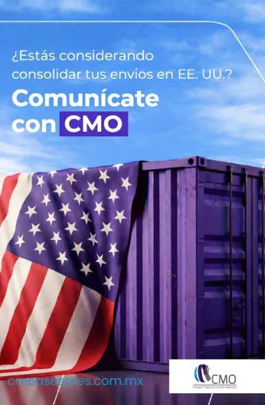 Pieza de contenido para redes sociales creada por Bold & Co.